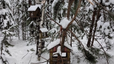 В парке «Сказка» в Гусь-Хрустальном построили деревню «Птичкино»
