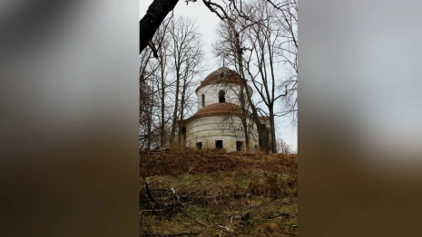 Во Владимирской области на сохранение памятников культурного наследия потратят 207 млн 