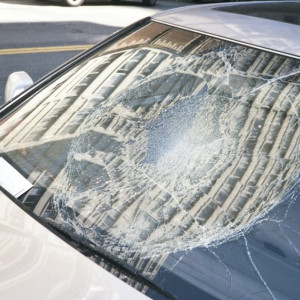 Автомобилист из Кольчугино отсудил 144 тыс. рублей у мэрии за упавшее на машину дерево