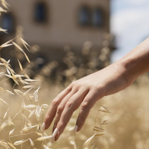 33 день Великого поста: что можно и нельзя 19 апреля 2024 года