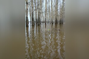 Во Владимирской области весной под воду могут уйти 24 населенных пункта