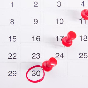 Владимирцам напомнили о выходных днях в 2024 году
