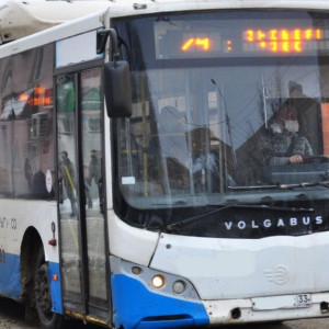 Владимирская мэрия выбрала поставщика 14 автобусов