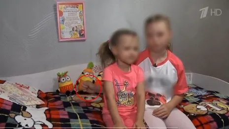 В Муроме семью подавшей жест помощи девочки прокуроры посчитали благополучной