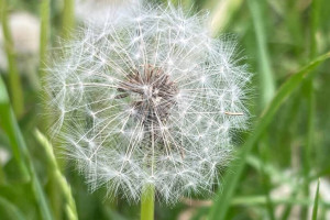 Прогноз погоды во Владимире и области на 8 июня