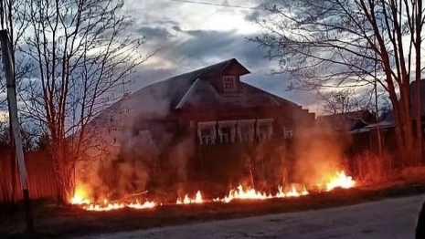 В Александрове хулиганы подожгли сухую траву