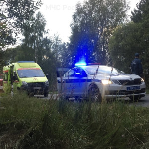 В деревне под Судогдой спасатели деблокировали пострадавшего в ДТП