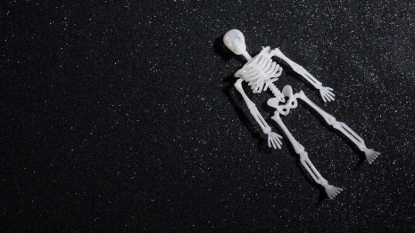 В Коврове в пустующей квартире обнаружили скелетированный труп