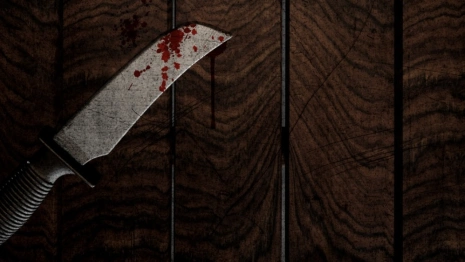 Жителя Московской области будут судить за убийство в СНТ в Александрове