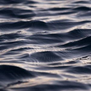 Во Владимире установили личность утонувшей в Добром девушки