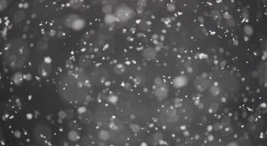 Синоптики спрогнозировали возвращение зимы во Владимирскую область