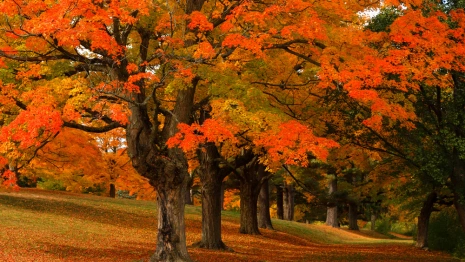 Прогноз во Владимирской области на 25 сентября