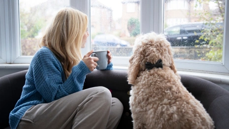Прогноз погоды во Владимирской области на 10 октября