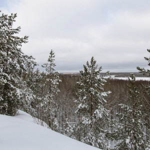 Синоптики рассказали, какой будет зима во Владимирской области