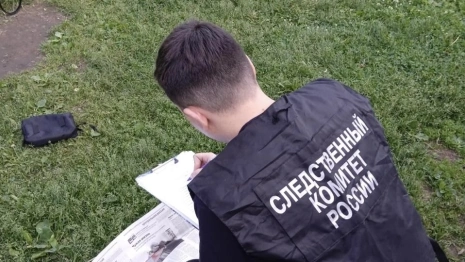 Жителя Камешковского района будут судить за жестокое убийство матери