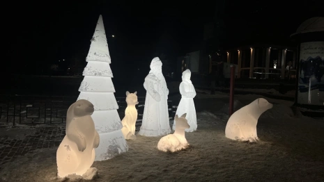 Во Владимире появился новый светящийся арт-объект