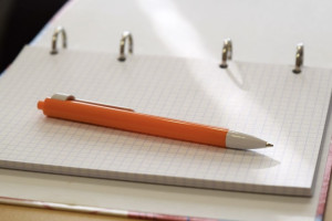 Во Владимирской области вводят цифровую платформу «Выборы» 2.0