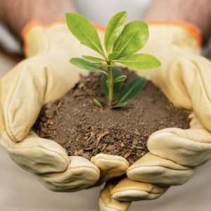 Во Владимирской области с полок магазинов исчезнут «Бабкин язык» и «Баргузин»