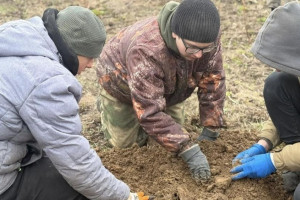 Владимирские поисковики обнаружили останки 13 красноармейцев