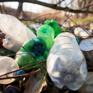Компания из Подмосковья выкупила землю во Владимирской области под мусорный полигон
