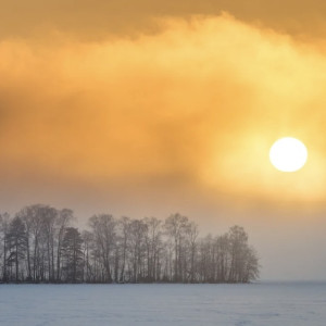 Жителей Владимирской области предупредили о погодных качелях в выходные