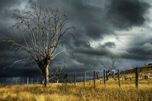 Пропавшего во Владимирской области пенсионера нашли мертвым