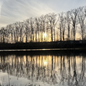 Во Владимирской области начавшиеся ливни утихнут