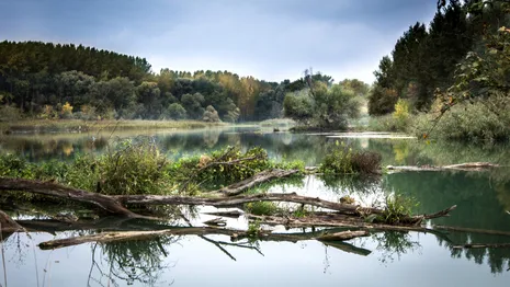 Во Владимирской области очистят еще четыре реки