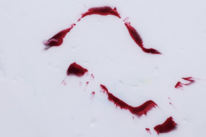 Узбека осудили за убийство жительницы Петушков в новогоднюю ночь