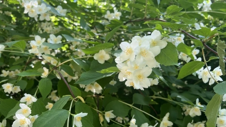 Во Владимирской области жара продержится до 19 августа