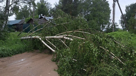 Ураган повредил энергообъекты минимум в 10 районах Владимирской области