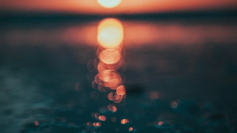 Во Владимирской области нашли мертвым пропавшего в галошах судогодца  