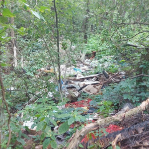 В Петушинском районе ликвидировали свалку 