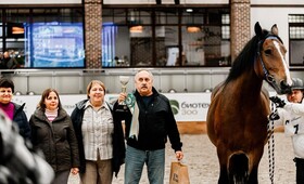 Владимирская кобыла Богиня получила золотую медаль на выставке в Москве