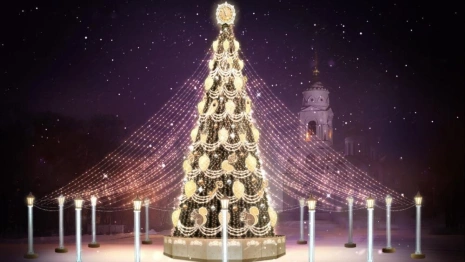 Новогоднюю ель на Соборной площади во Владимире установят до 15 декабря