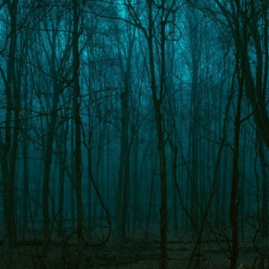 Пропавшего в начале июня во Владимирской области пенсионера нашли мертвым