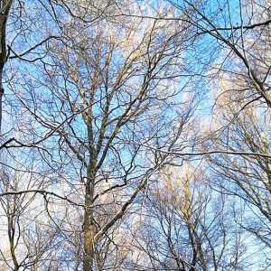 Народные приметы: что можно и нельзя делать 11 января в Страшный день