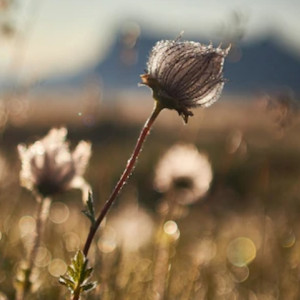 Прогноз погоды во Владимирской области на 16 августа