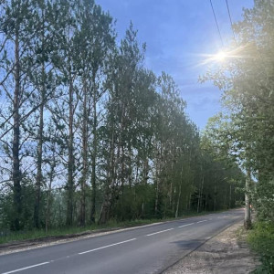 Пропавшего во Владимирской области 81-летнего дедушку на велосипеде нашли живым