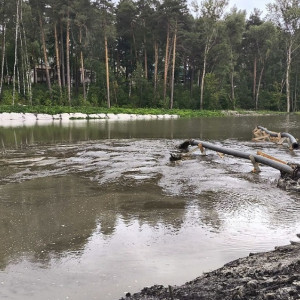 В Селивановском районе занялись расчисткой реки Колпь