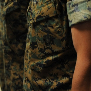 Шойгу доложил Путину о завершении частичной мобилизации в России