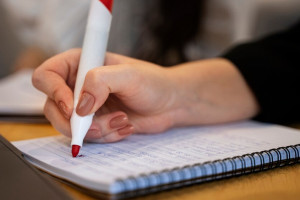 Владимирские МВД и ГАИ изменят график работы в новогодние выходные