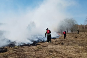 Во Владимирской области пожарные спасли две деревни