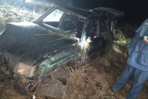 Водитель улетевшей в кювет иномарки в Камешковском районе умер в больнице