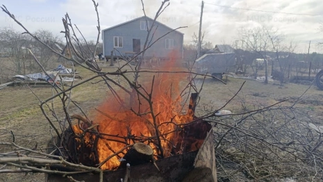 Владимирцам напомнили о штрафах до 800 тыс. рублей за разведение костров