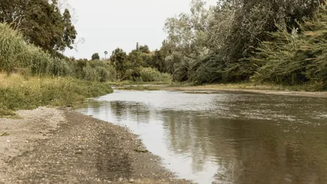 В Камешковском районе водолазы попросили помощи в поисках 34-летнего мужчины