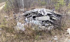 Во владимирском лесу выросла огромная стихийная свалка