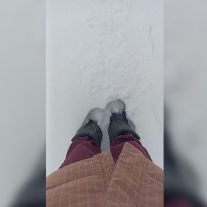 Во Владимирской области измерили высоту сугробов