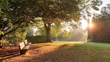Начало рабочей недели во Владимире будет теплым