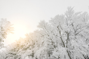 Прогноз погоды во Владимире и области на 10 февраля
